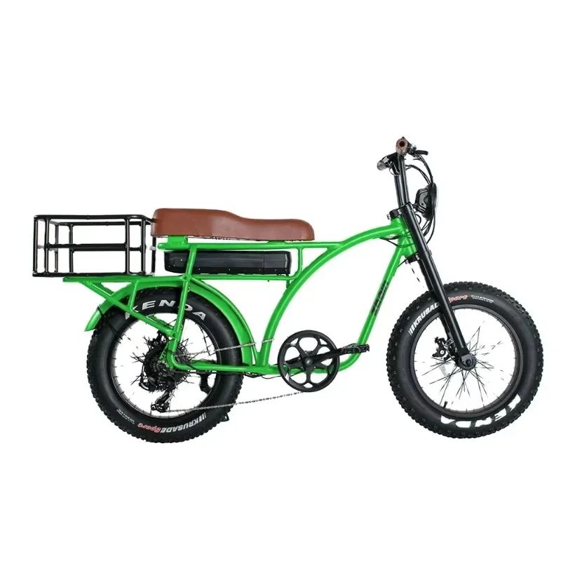 

Two Wheel Electric Multi-Purpose Cargo Bike Bike 500w 750W Fat Tire ebike