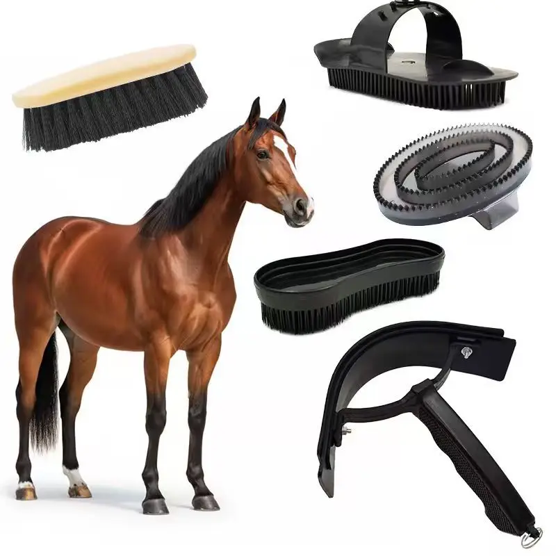 5-piece horse grooming set: horse brush, horse comb, de-mouthing tool, hoof care tools, equestrian care and grooming equipment