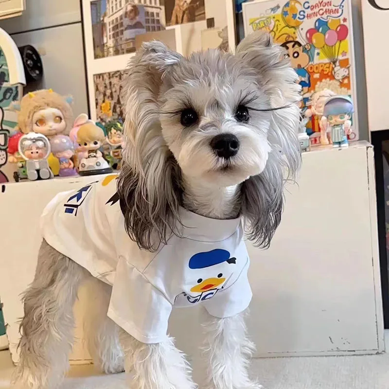 

Удобная одежда для маленьких собак: осенняя, грязеотталкивающая, для прогулок, с мультяшным принтом, для тедди и бишонов, аксессуары для домашних животных