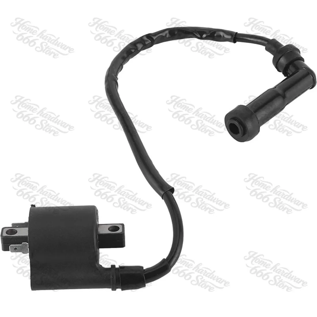 Accessories Ignition Coil 1 D6 - 8 2310-00 - 00 High Voltage Package 1300