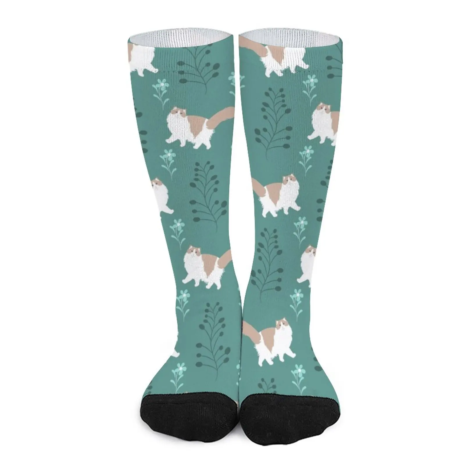 Elegant Ragdoll Cat Socks winter socks men socks for man new in Men's socks