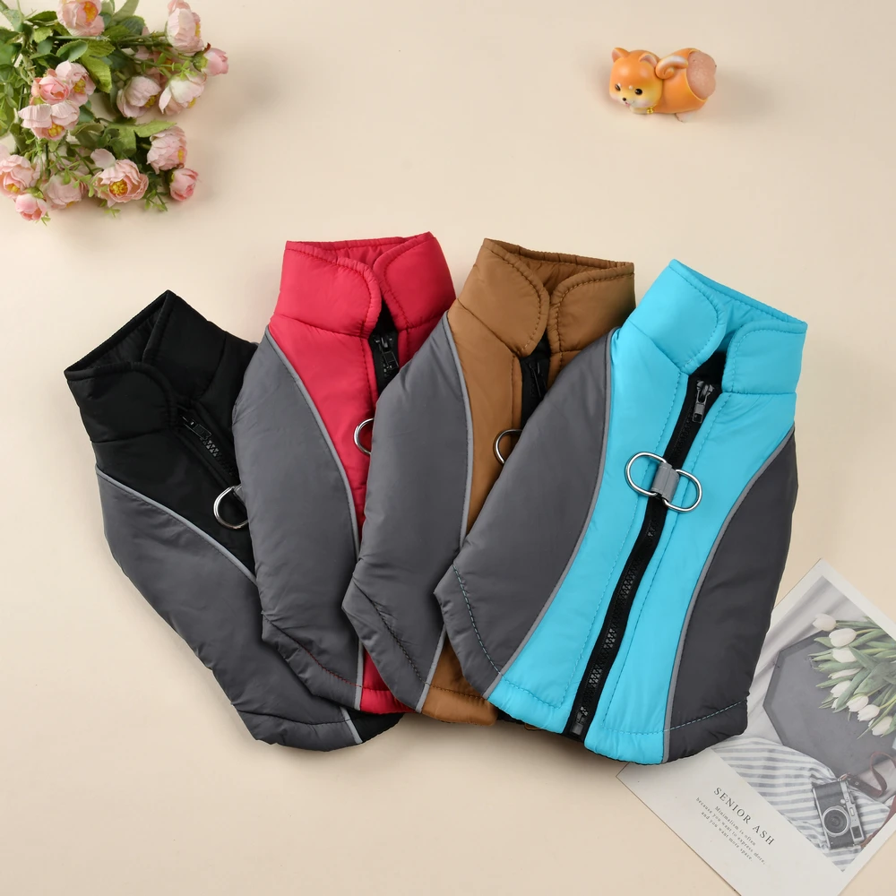 #33 Best Pet Apparels to Buy In 2026