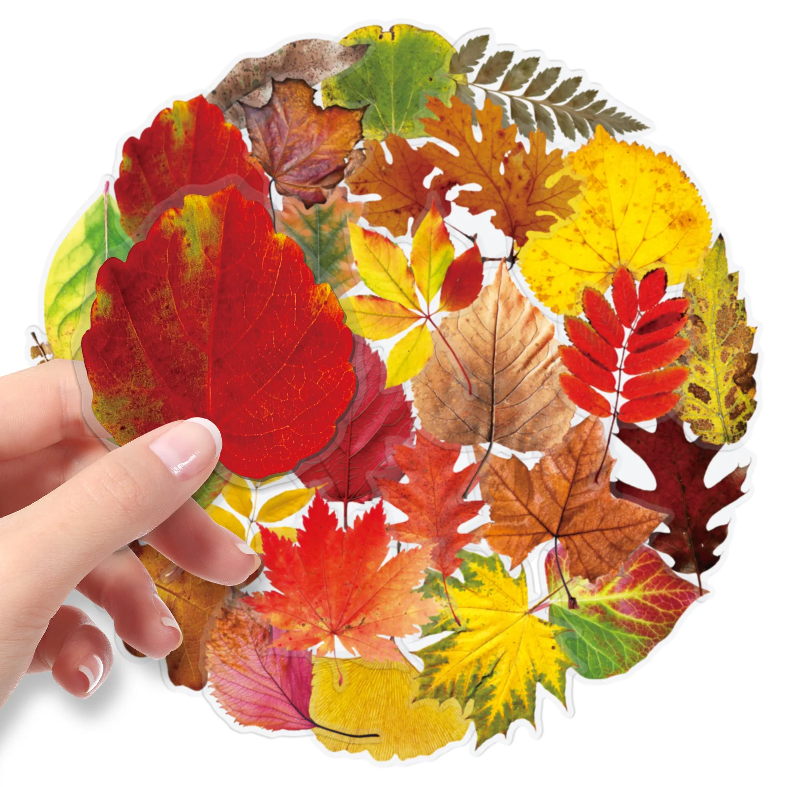 

50PCS Autumn Leaves Stickers Autumn Maple Leaf Nature Decals Waterproof for Laptop Water Bottle Suitcase Scrapbooking