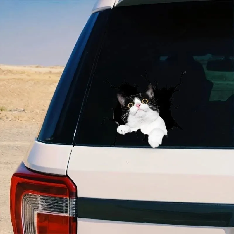 

Автомобильные наклейки, забавные животные, водонепроницаемые виниловые наклейки для стен, окон, грузовиков, бамперов, холодильников, ноутбуков, 15 см, ПВХ KK