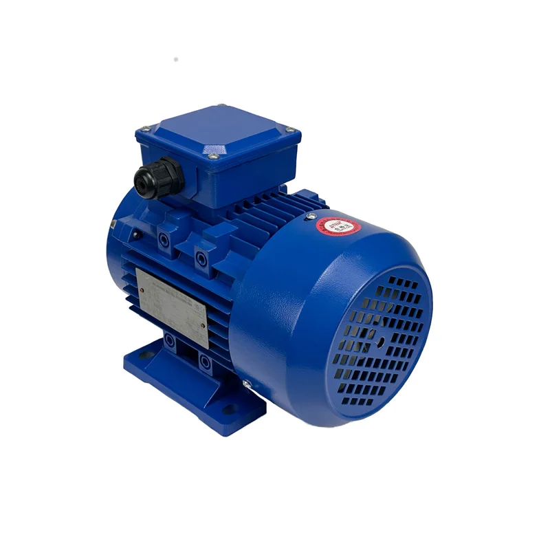 

New Arriving 220V 380V Asynchronous Machinery Ac Motor Three Phase Asynchronous Ac Electric Motor