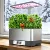 Hydroponics Growing System Kit with Wifi Ultimate 8-Pod Indoor Soilless Garden LED Display