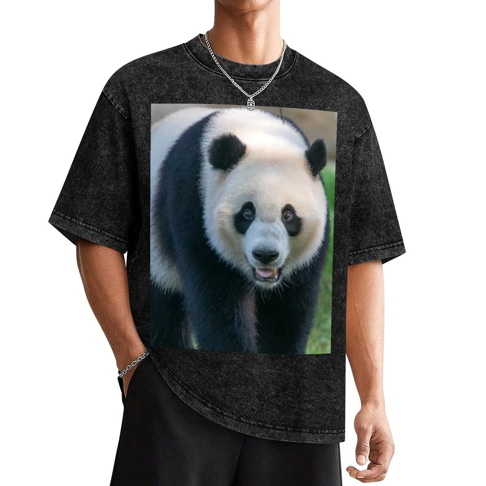 

Giant Panda Xiao Qi Ji at the National Zoo T-Shirt plain kawaii clothes animal prinfor boys street wear mens clothes