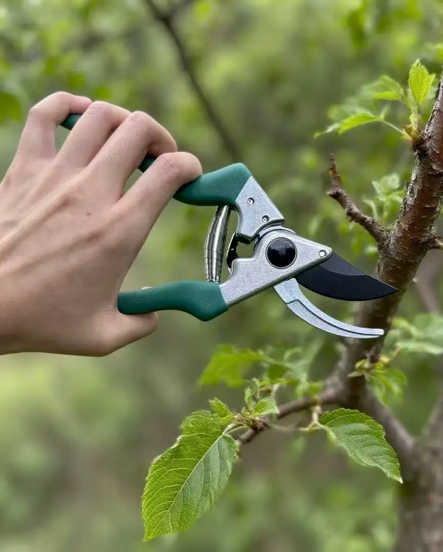 

Садовые ножницы ручные - обводные секаторы с удобной рукояткой для ежедневной обрезки растений