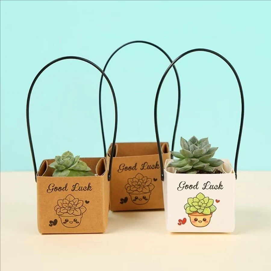 10pcs/set - 5.5cm Succulent Plant Decoration Box, Mini Succulent Gift Box, Can Be Used for Gift Small Business Plant Packaging