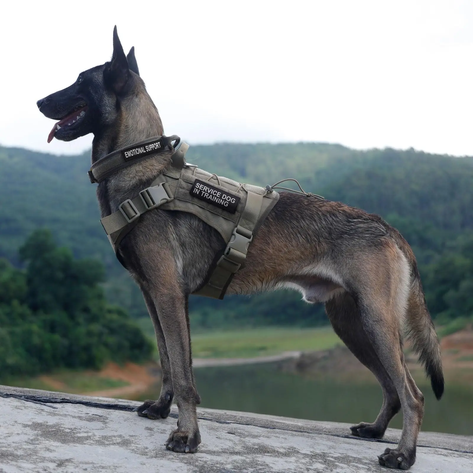 Taktisches Hundegeschirr für großes Haustiergeschirr, No-Pull-Service-Weste, verstellbare Militär-Hundeweste für Training, Jagd, Spazierengehen – Detail 2