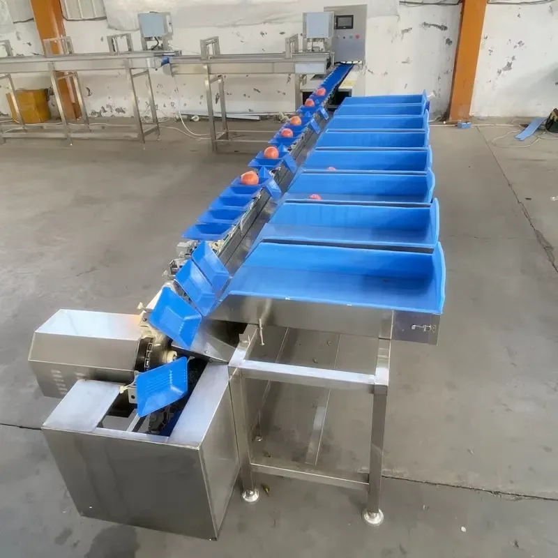 Multi Grade Weighing Sorter Weight Sorting Machine for Seafood Fish Meat Poultry Fresh Potato Sorting Weighting and Sewing