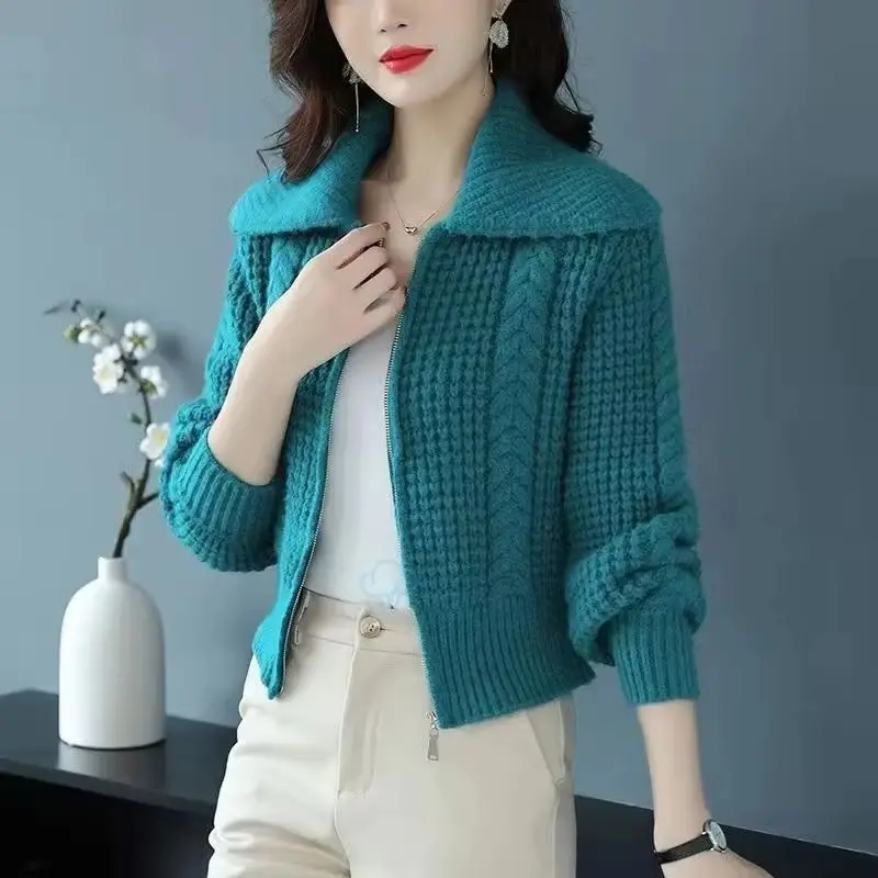 

New Korean Loose knit Cardigan Women's Outerwear Solid color zippered Sweater Coat Women Casual Short Knitwear Female Tops