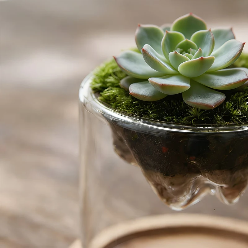 

Стеклянный террариум для растений с видом на горы, контейнер для мха, гидропонный контейнер для растений, многофункциональная чаша, украшение для дома, отличный подарок