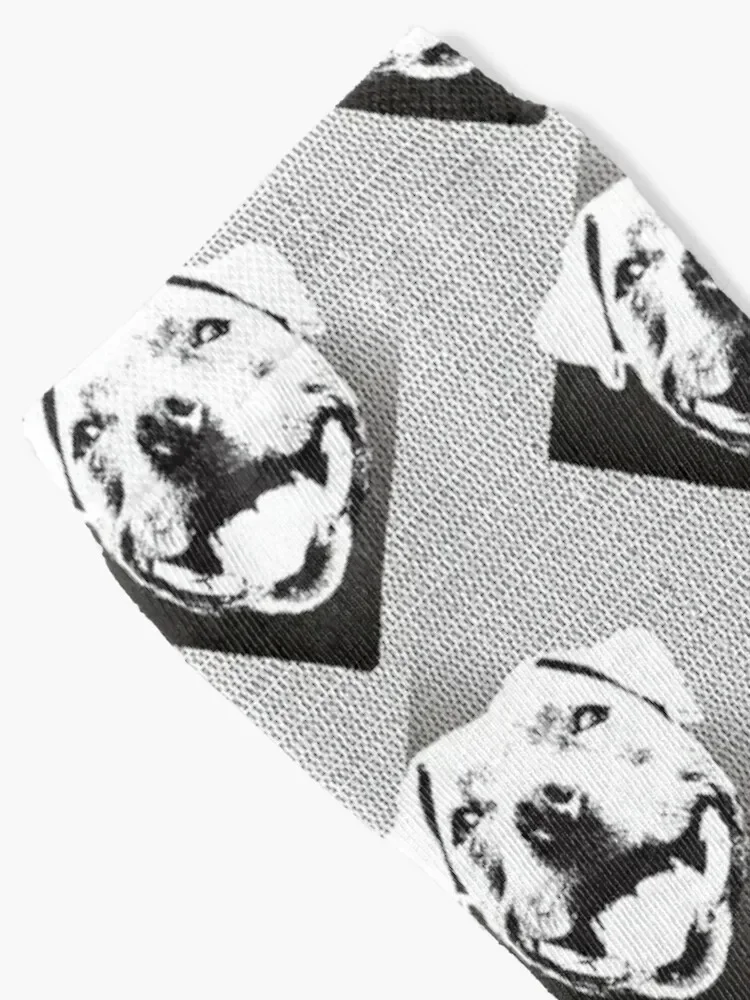 That Staffy Smile Socks floral gym retro Stockings compression Socks Girl Men's