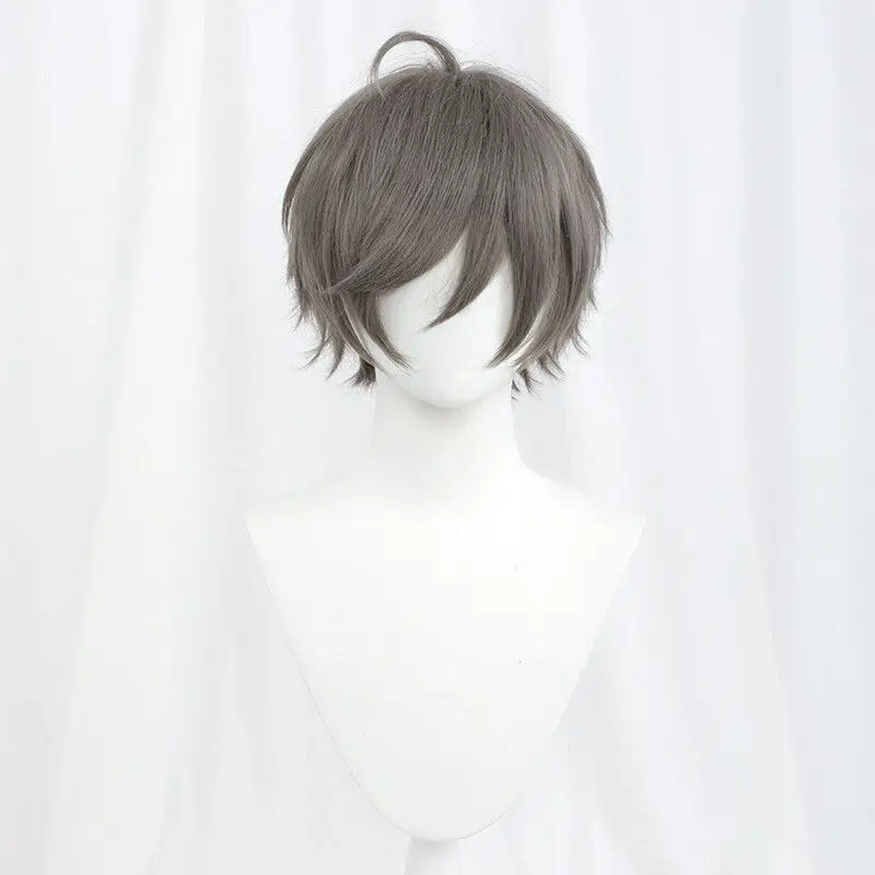 Perruque Cosplay Synthétique Courte Droite, Anime, Noir, Rouge, Bleu, 24 Couleurs, 30cm