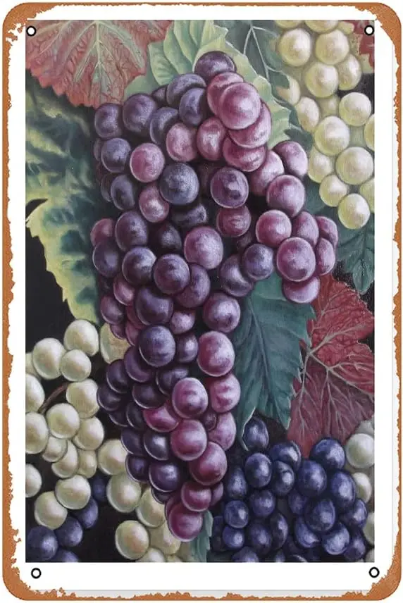 Grapes Metal Signs Decoracin Vintage Metal Tin Signs 12x8 Inch Iron Painting Wall Decor Restaurant Bar Cafe Club Kitchen Decor T