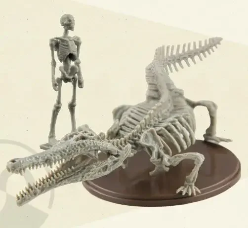 Genuine Gacha Scale Model Museum Simulation Crocodile Skeleton 1/35 Immovable Fossil Model Action Figure Toys