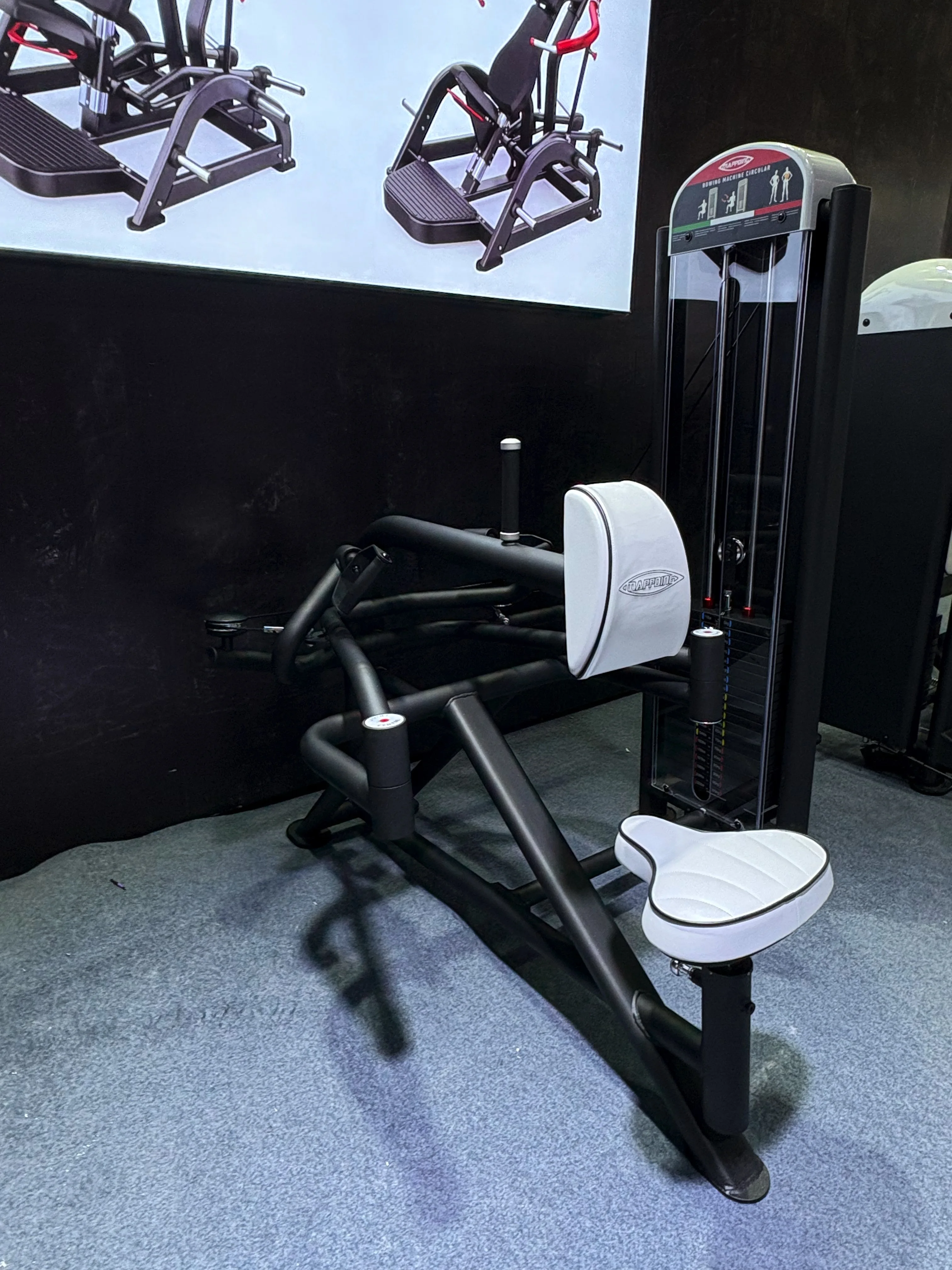 Heavy-Duty Adjustable Steel Arm Rowing Machine Commercial Back Exercise Trainer 2025