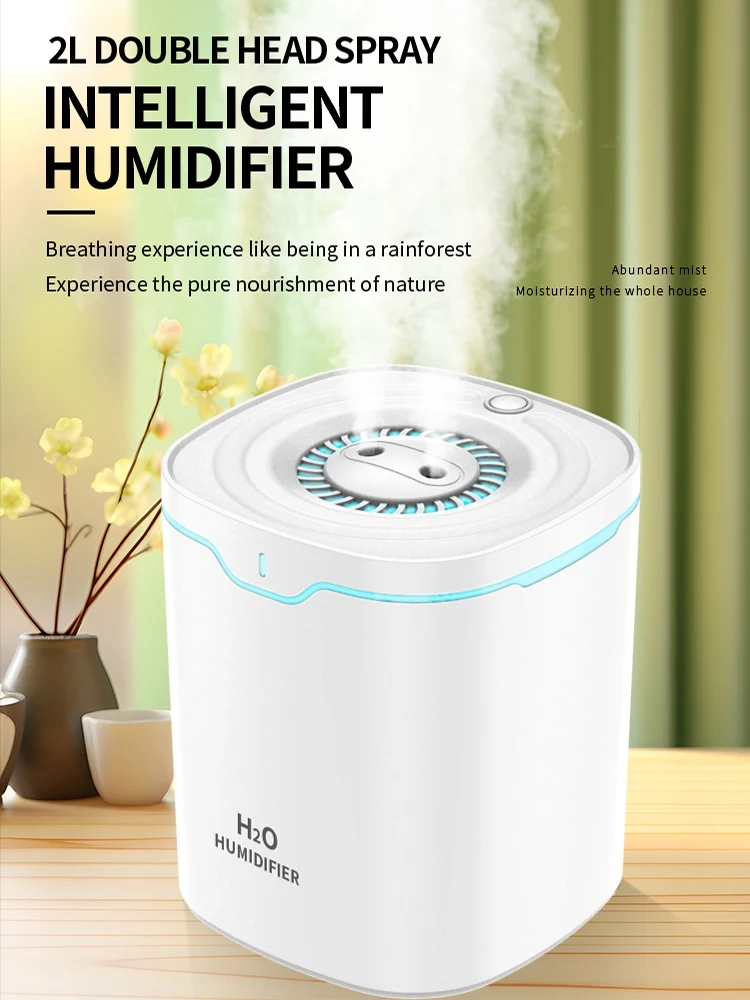 2L Air Humidifier Dual Fog Outlets Air Humidifier Diffuser USB Timing Ultrasonic Sprayer For Office Home Bedroom With Lighting