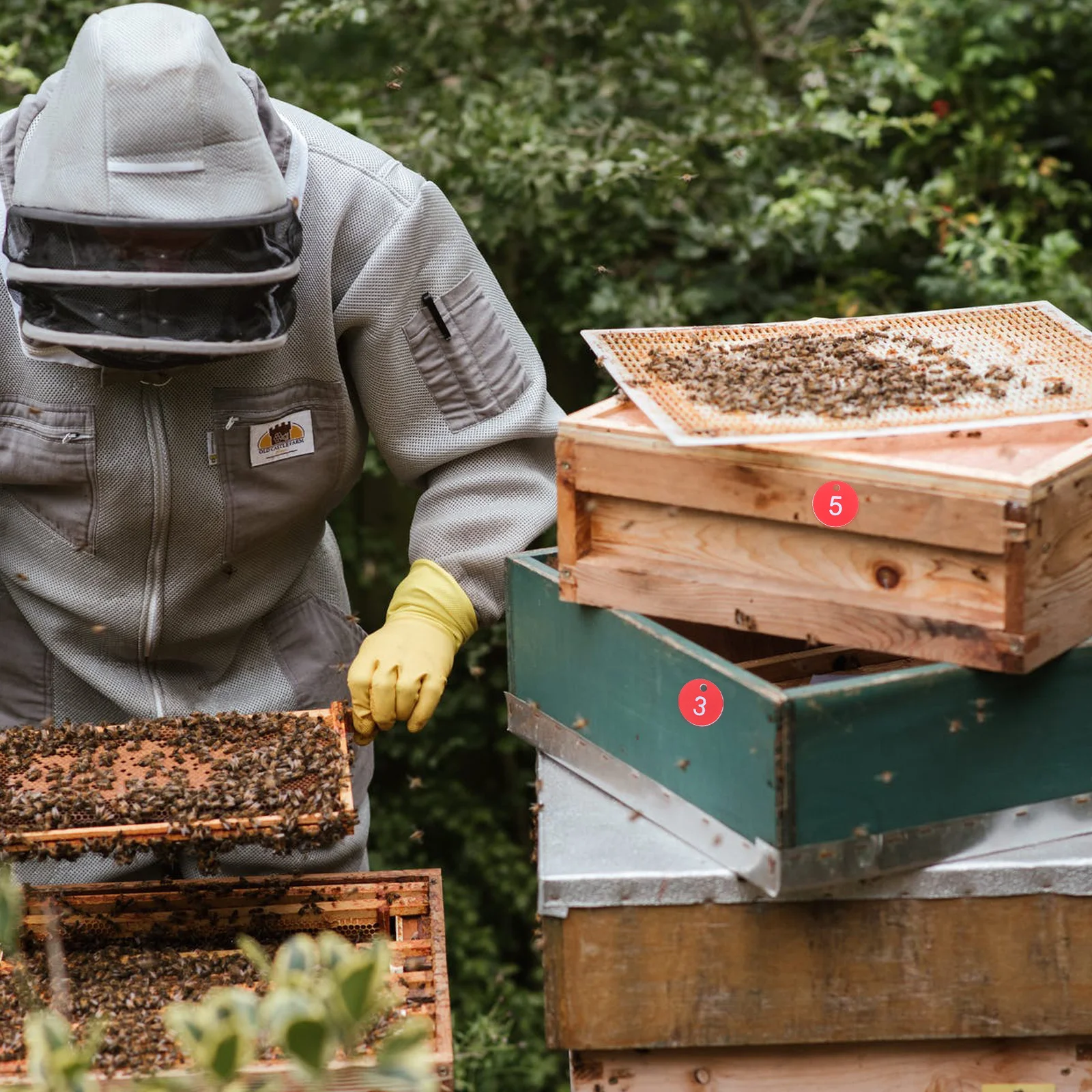 

20pcs Labels Plastic Number Markers For Hive Identification Beekeeping Tags Bee Box Sign Apiculture Tool Hanging