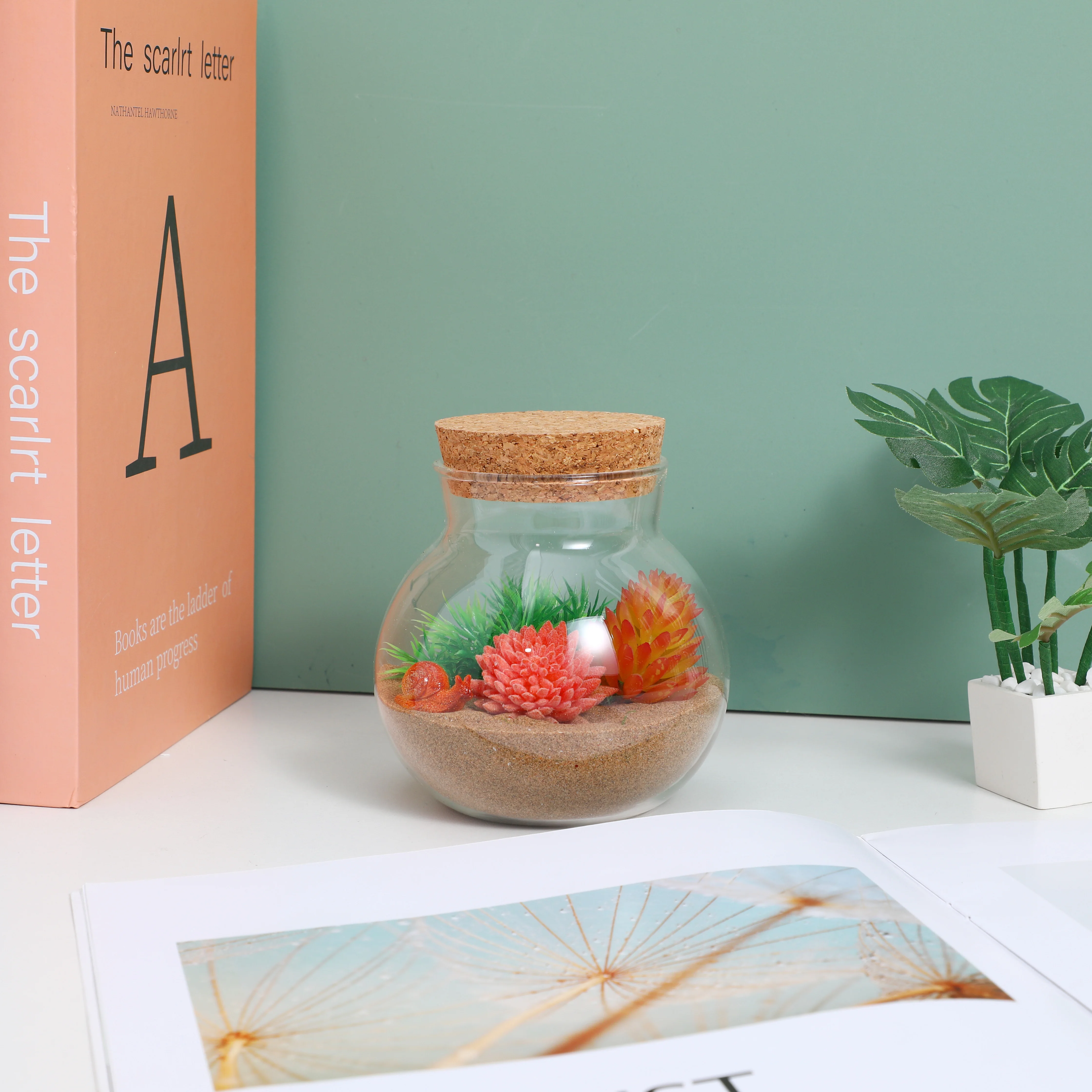 

2pcs Transparent Ecological Bottle Glass Microlandscape Jar Smooth Surface Diy Terrarium For Desktop Home Garden Succulent Plant