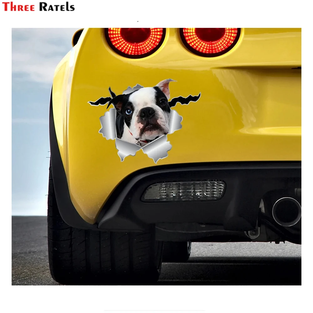 Three Ratels I637 Cute  Dog Lover  Gift Animal Sticker  For renault clio Auto Accessories