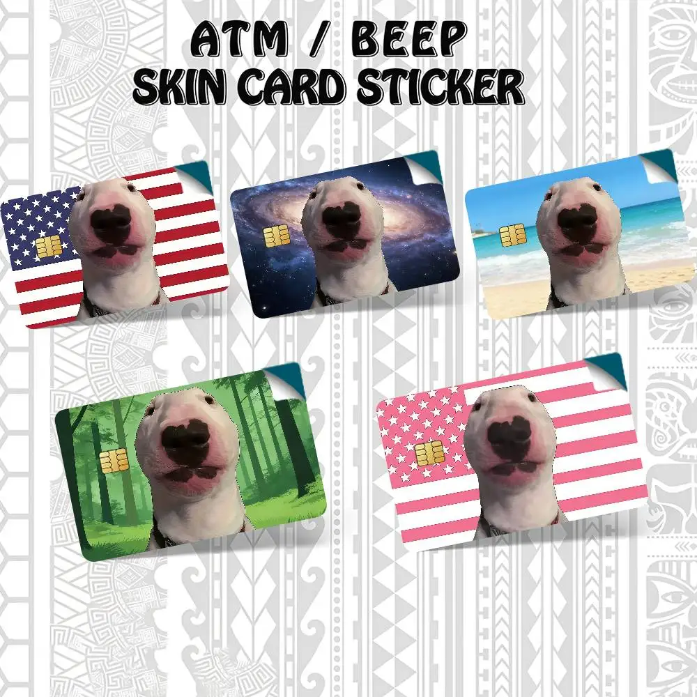 Walter Dog Funny Bank Credit Cards Bus Pass Stickers Cool Decoration Waterproof 4PCS Card