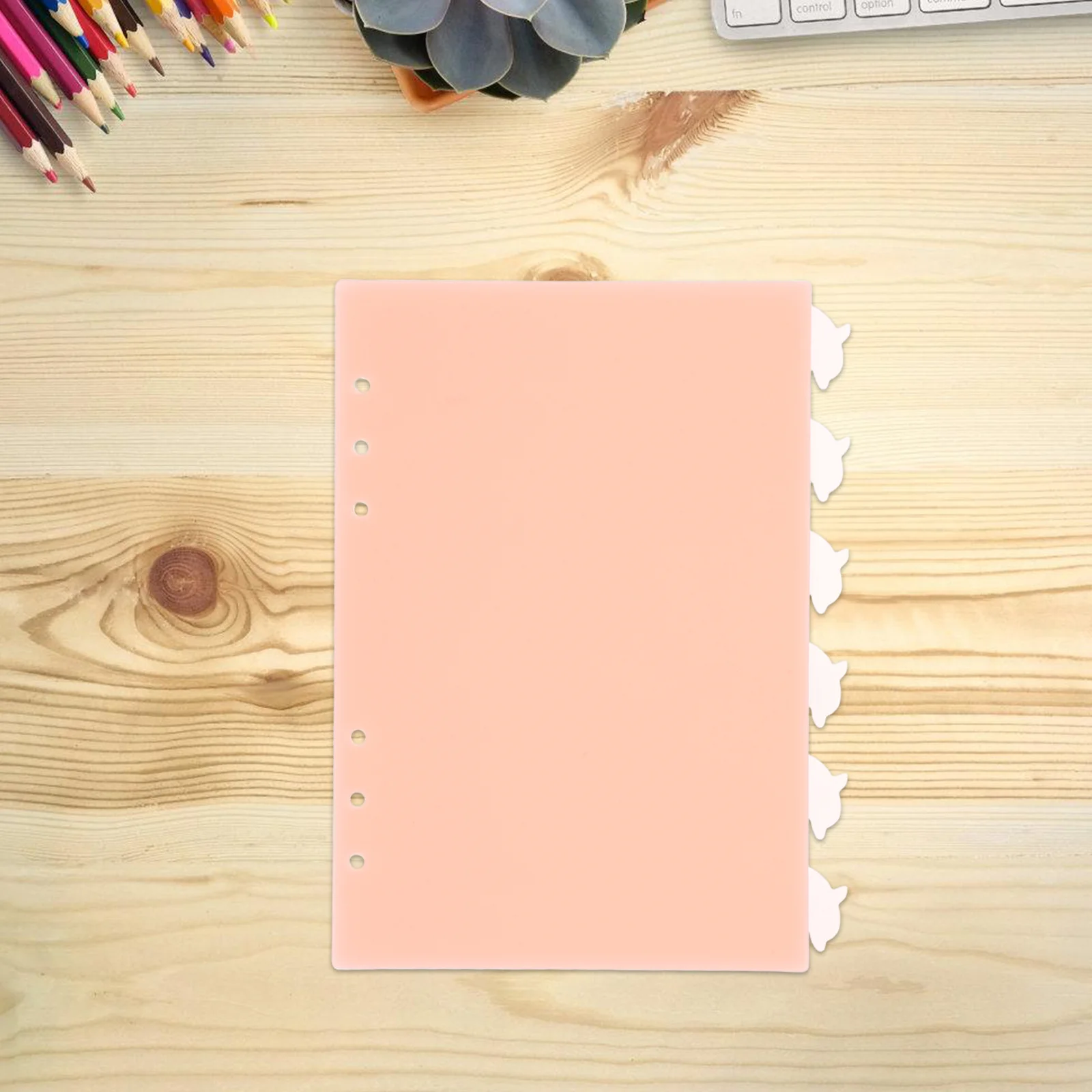 

6Pcs Dolphin Tab Binder Dividers Plastic 6-Hole Loose Leaf Organizers for Ring Binder Indexing Aesthetic Cute Pink Dividers