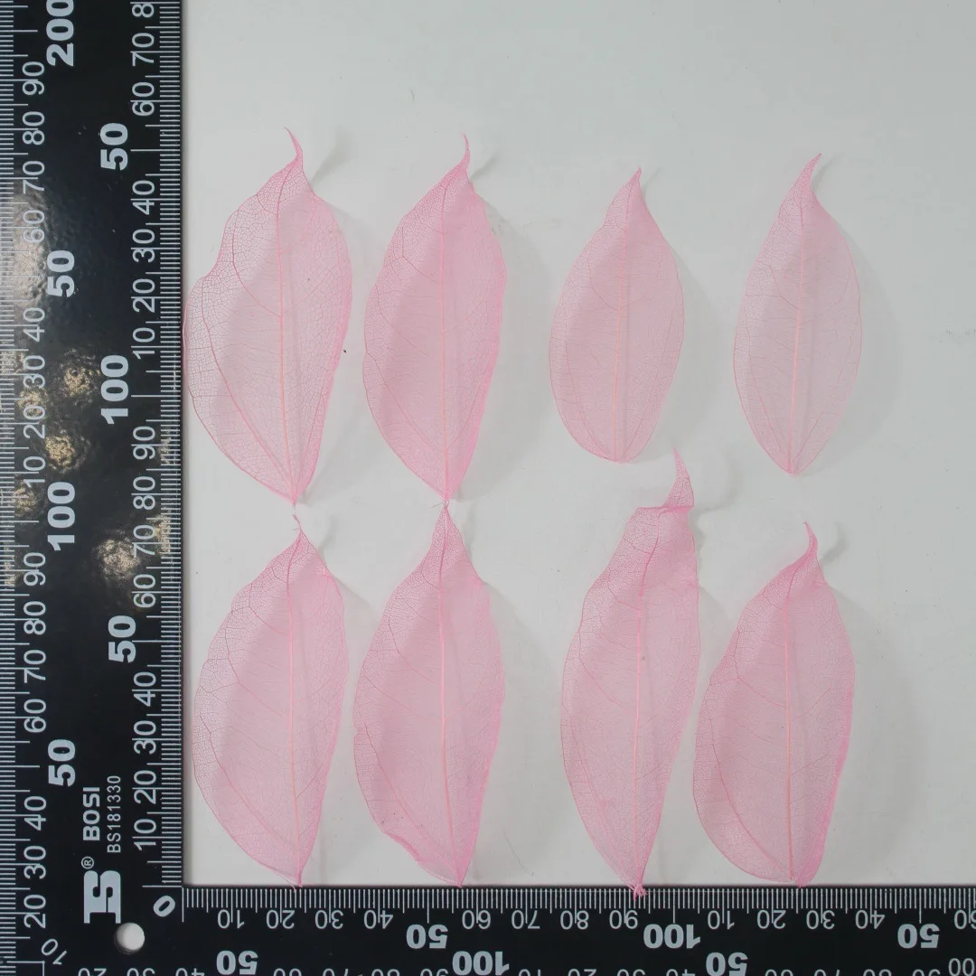 White Diamond Vein Magnolia Leaves, Natural Preserved Leaves, Handmade Dried Flowers, Colorful Mesh Bleached Leaf Specimens