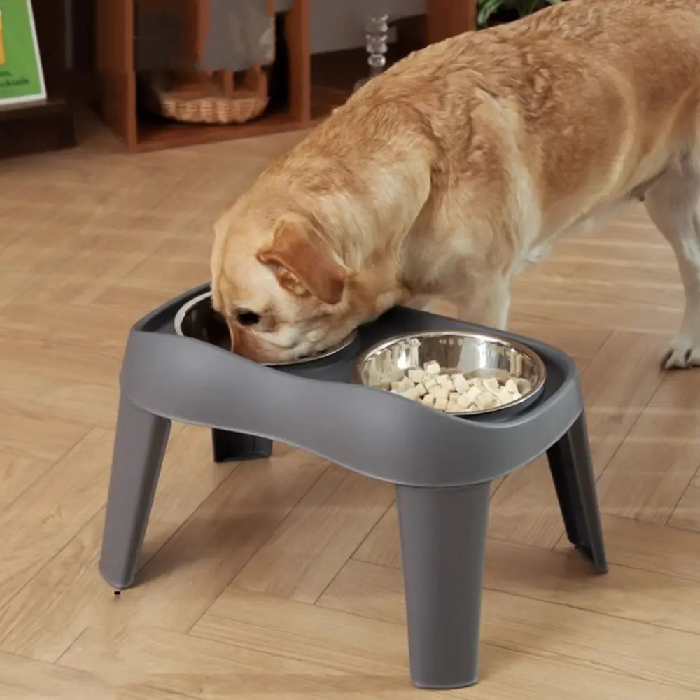 Thumbnail 3 - #25 Ranked Stainless Steel Puppy Bowls Picks in 2026