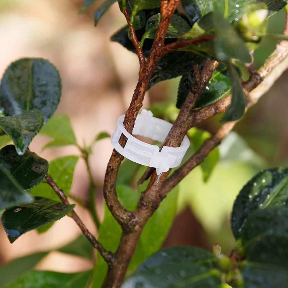 

100pcs Plant Clips Vine Supports Garden Tool Tomato Trellis Vegetable Lattice Plastic Supports Gardening Accessories