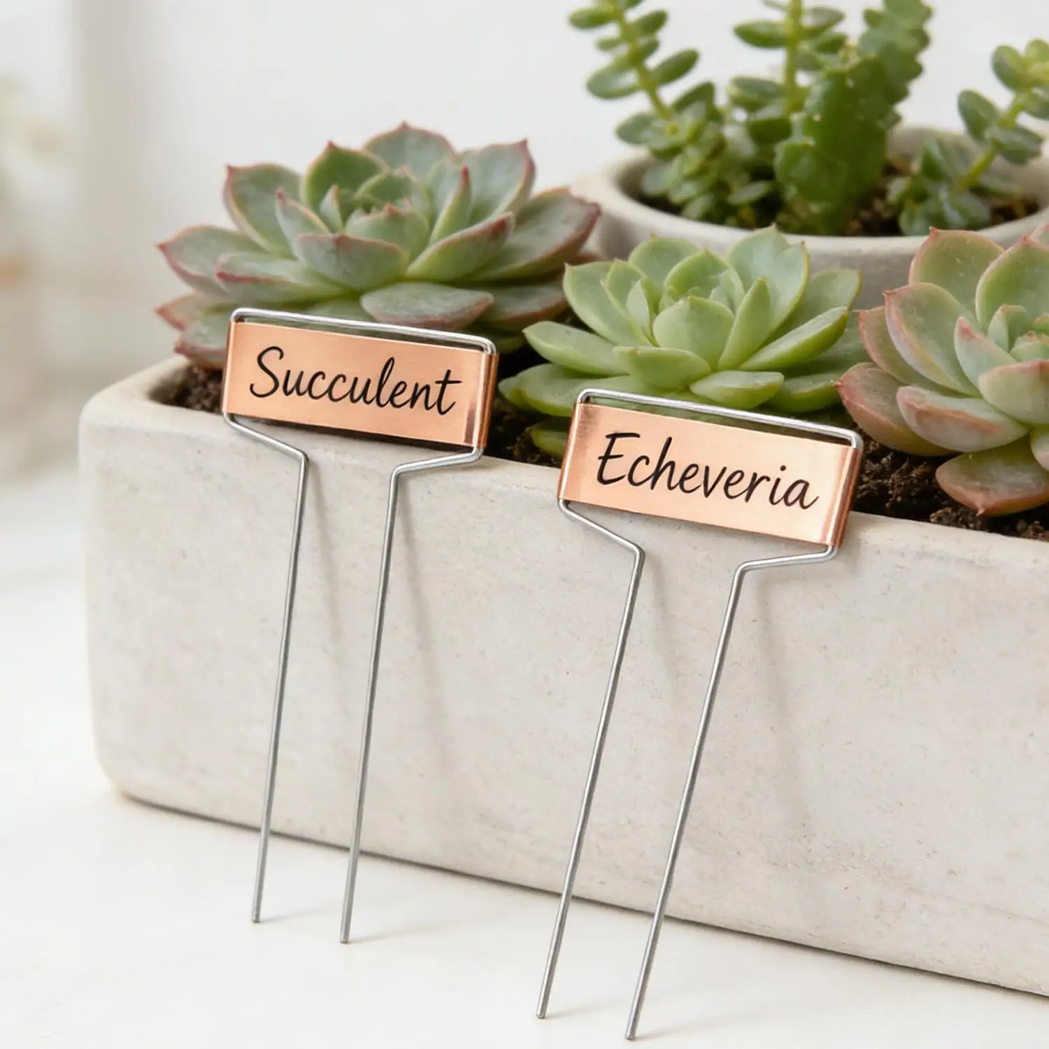 4/6/10Inch Garden Stake Tags Waterproof Markers Metal Copper Lawn Plant Flowers Labels Writable Reusable Nursery Marking Sign