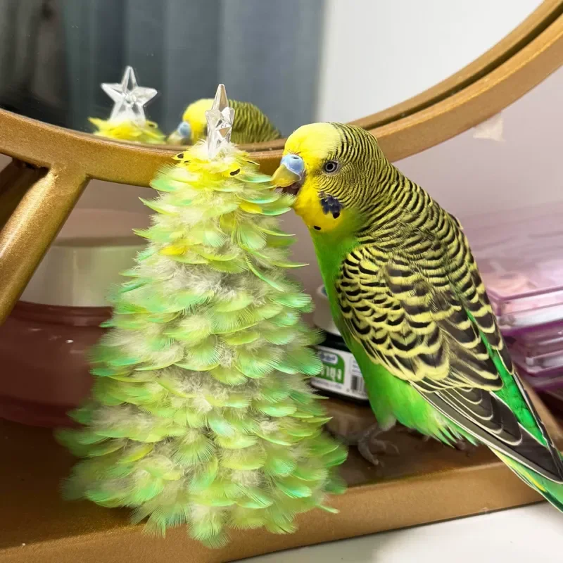 Parrot Feather Lamp Handmade DIY Night Light Christmas Tree Ornament Xuanfeng Small Sun Decoration Collection Commemorative