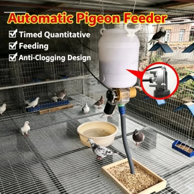 220V Automatic Poultry Feeder, Timer Controlled Chicken & Duck Feeding Machine with Funnel - Intelligent Feeding System