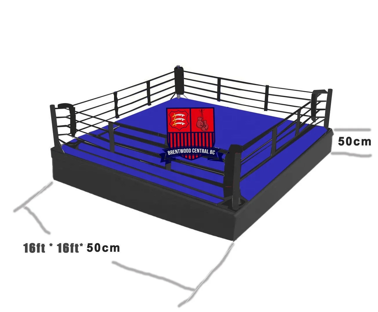 

Professional Boxing Fighting Ring Collapsible 4m 5m 6m Training Ground Boxing Ring