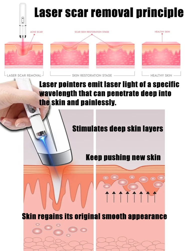 Paniyanicastitute FestivallS: SSs BonbonSFestivall Festivall Festivall Festivall Festivall