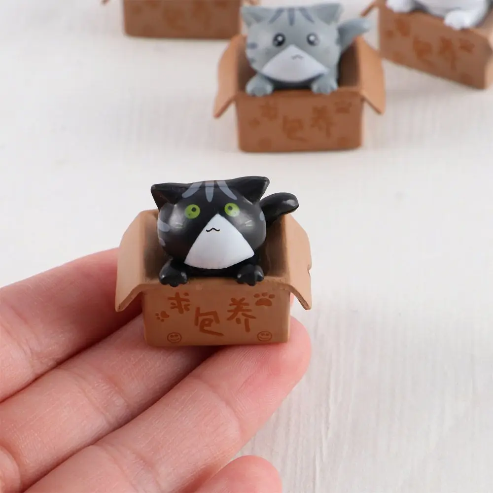 Cute Miniatures Statue PVC Crafts Kitten Ornament Poor Box Cat Car Figurine Kitty Model Small Statue