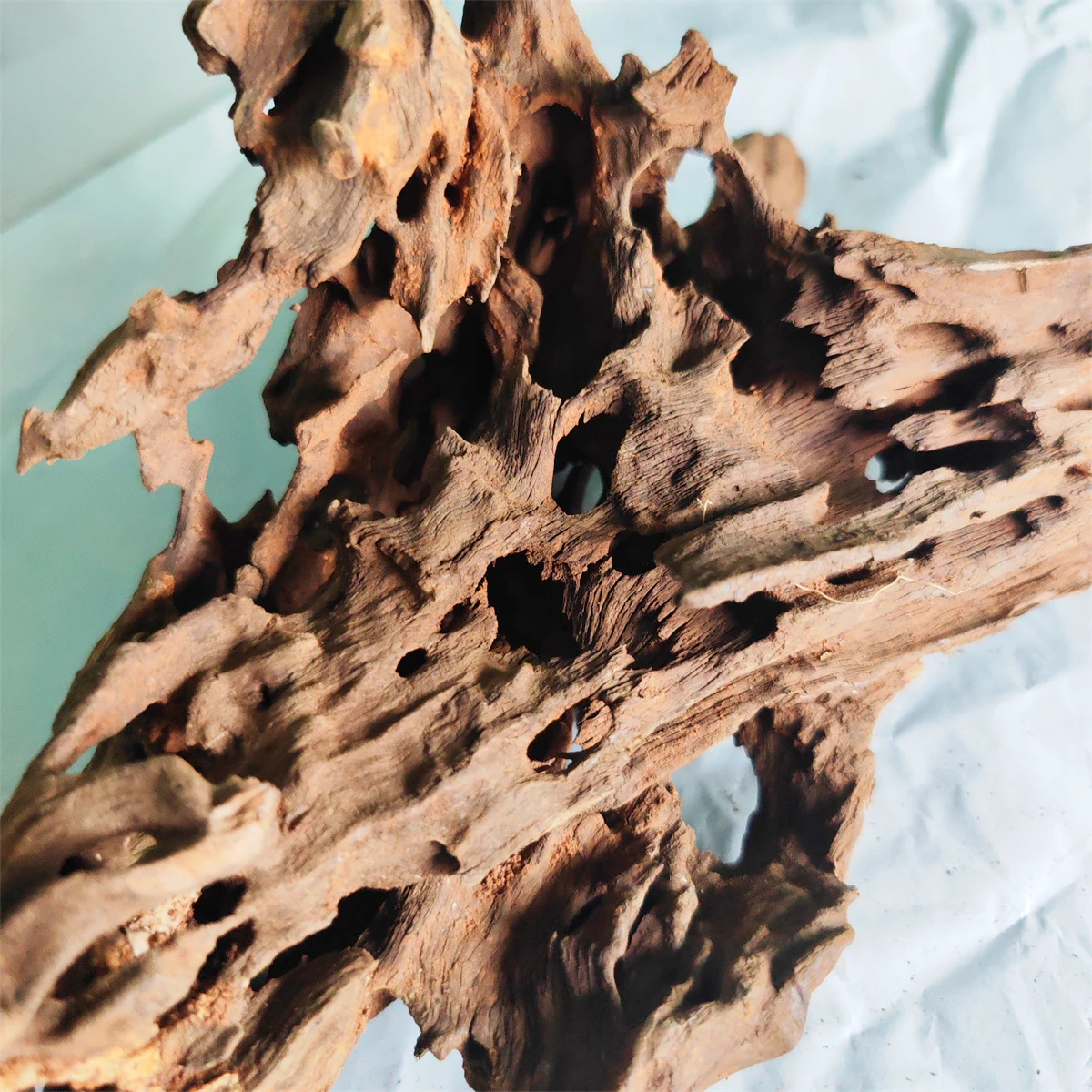 Natural Wood large driftwood Fish tank Shrimp wood Fish rest hole Fish Tank Driftwood Tree Trunk Drift wood Aquarium  Aquario