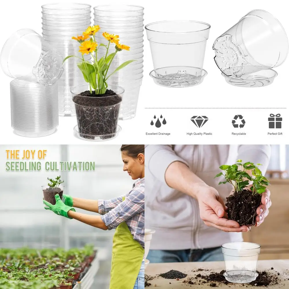 

4 Inch Clear Nursery Pots, Set of 30 Transparent Plant Flower Pots for Small Indoor Plants with Drainage Holes & Trays, Plastic