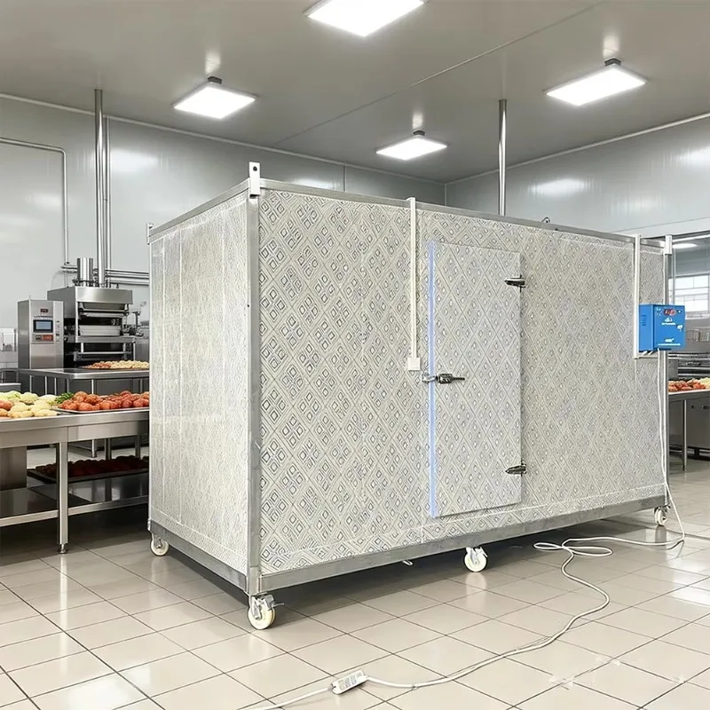 Walk in Freezer Prefabricated Cold Room Energy Saving Anti Rust for Frozen Meat Seafood Storage Custom