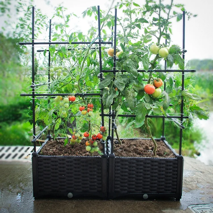 

Garden Climbing Plant Support Cage Garden Trellis Flowers Stand Rings Tomato Support