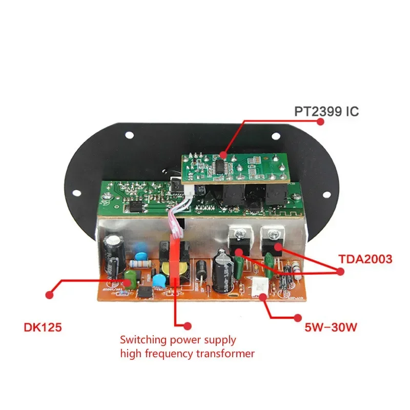 SOTAMIA Mono Subwoofer Amplifier Board Dual Microphone K Song Bluetooth Power Amplifier Car Amp 30W DIY 3-6Inch Speaker 12V 220V