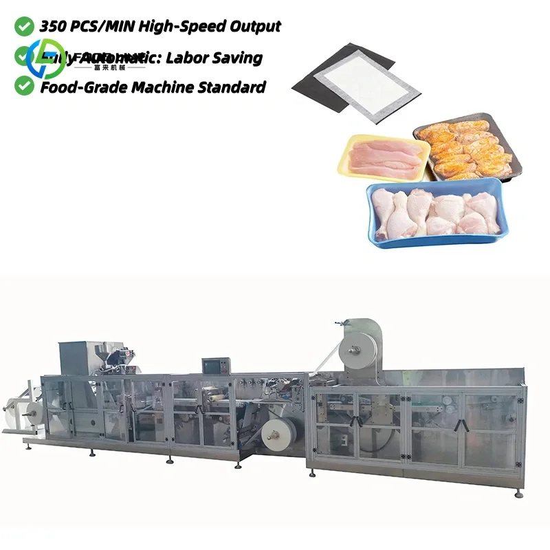 Food Absorbent Pad Production Line Customized Fully Automatic Nonwoven and Pe Film Laminating Super Absorbent Meat Pad Machine
