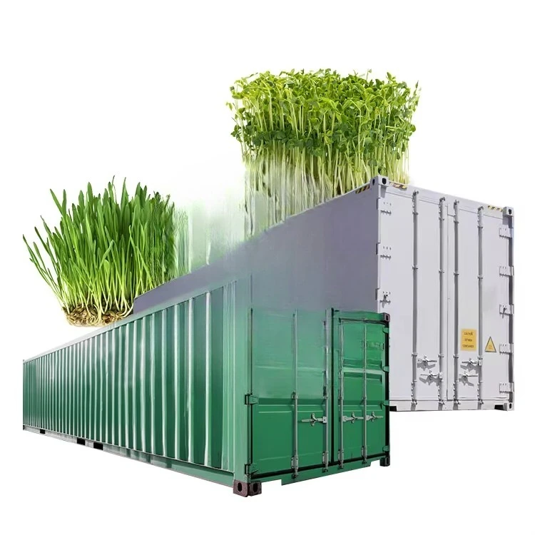 ORME Electric Automatic Mung Bean Alfalfa Sprout Equipment Lettuce Seed Sprout Growing Germination Machine