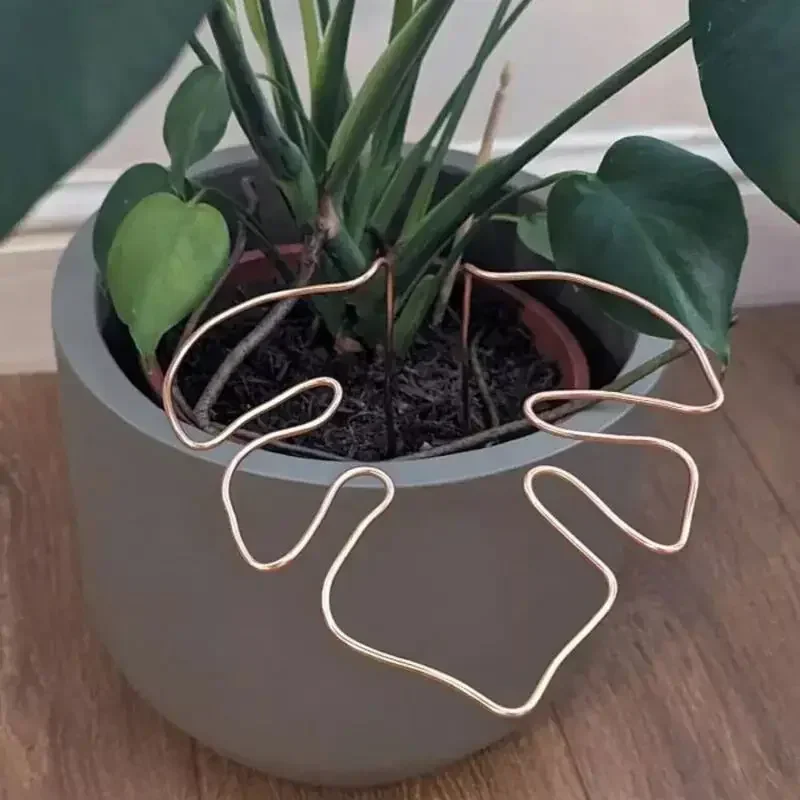 

Monstera Support Pole Sturdy Monstera Shape Support Pile Easy Installation Decorative Plant Stand Bamboo shaped plant holder
