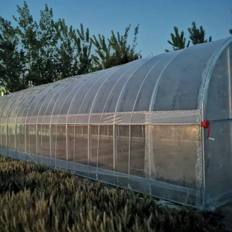 

Customized greenhouseOutdoor Vegetables Cultivation Clear Plastic Green House Tunnel Greenhouse Po Film Planting Grow Tent Agric