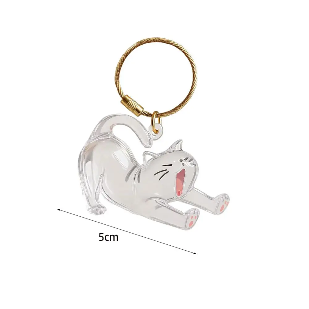 New Transparent Cat Hair Storage Keychain Cute DIY Pet Fur Keepsake Capsule Portable Souvenirs Keychain Pet Lovers image 6