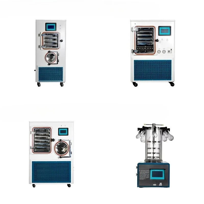Mini Dryer Machine for Food Laboratory with Various Configurations