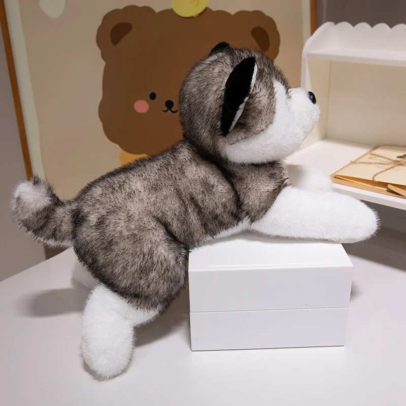 Leuke Husky Hond Knuffel Zacht Gevuld Kussen Kawaii Kinderen Speelgoed Verjaardagscadeau voor Meisje Pluizige Dierenpoppen 30-50 cm