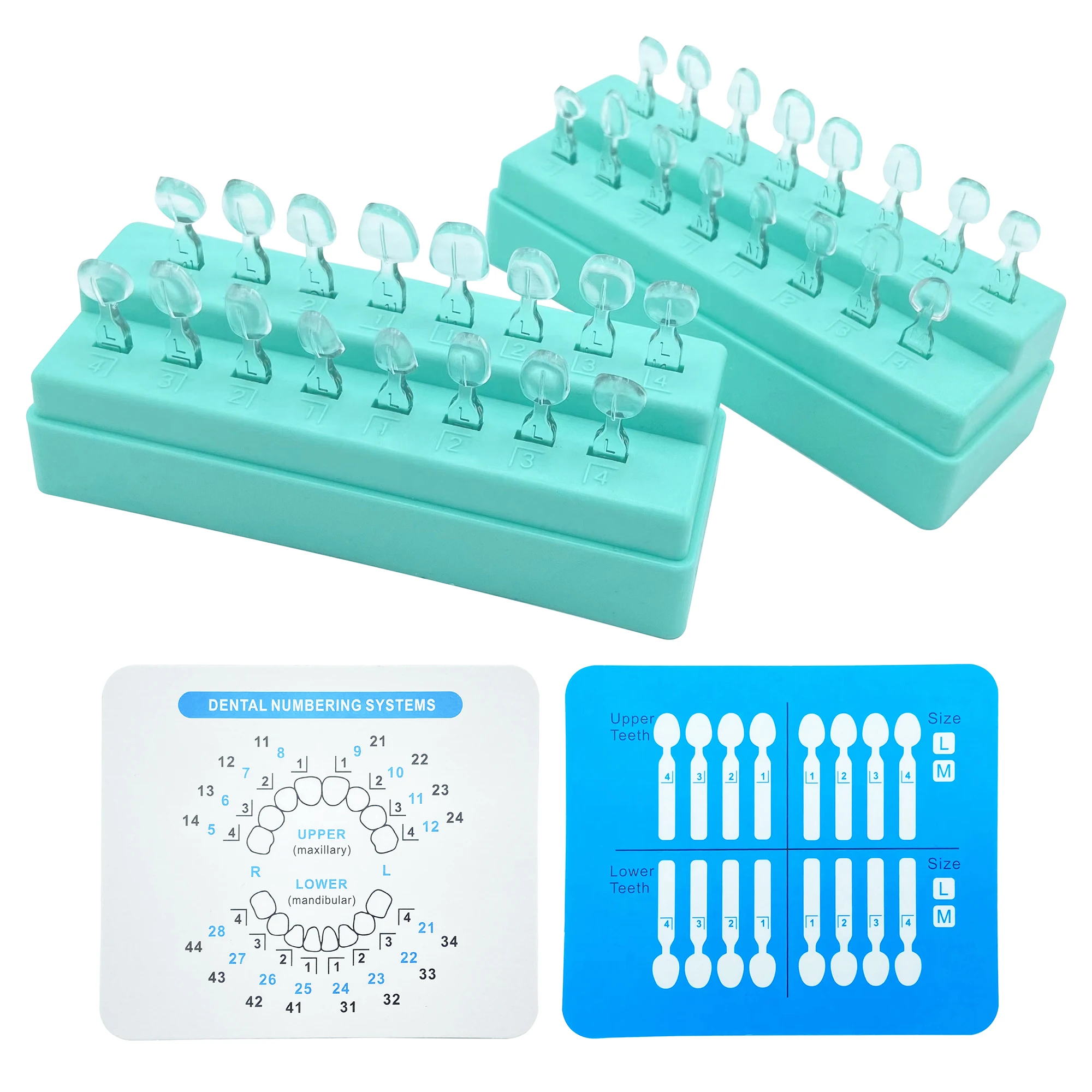 32pcs/set Dental Veneer Mould Kit Dental Direct Composite Venner System Composite Resin Mold Light Cure Anterior Teeth Mould